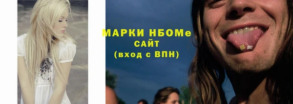 прущие грибы Апатиты