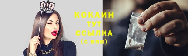таблы Надым