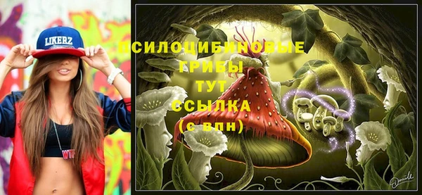 мескалин Михайлов