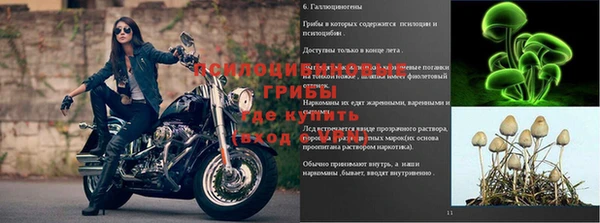 мескалин Михайловка