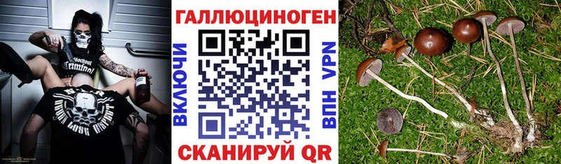 Галлюциногенные грибы MAGIC MUSHROOMS  Нахабино 